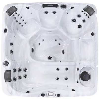 Avalon-X EC-840LX hot tubs for sale in Marietta