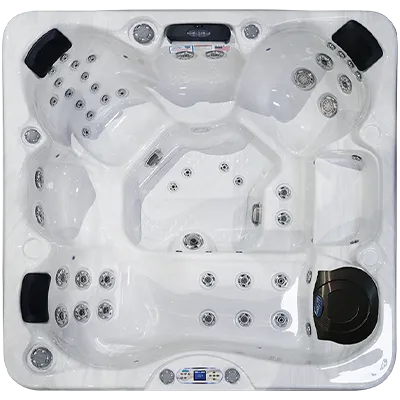 Avalon EC-849L hot tubs for sale in Marietta