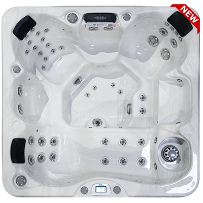 Avalon-X EC-849LX hot tubs for sale in Marietta