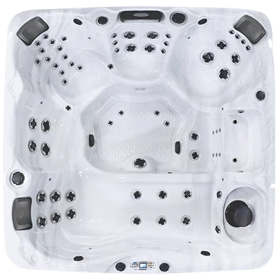 Avalon EC-867L hot tubs for sale in Marietta