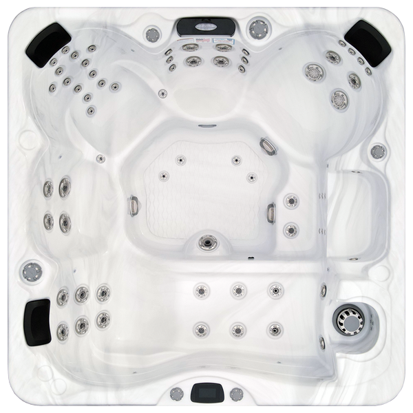 Avalon-X EC-867LX hot tubs for sale in Marietta